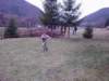 horndaa010_small.jpg