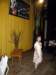 dolina035_small.jpg