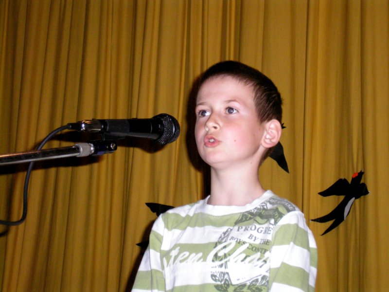 dolina28.jpg