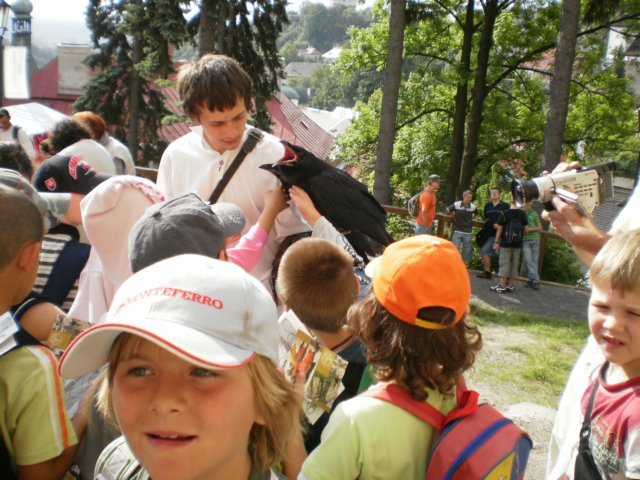 foto29.jpg
