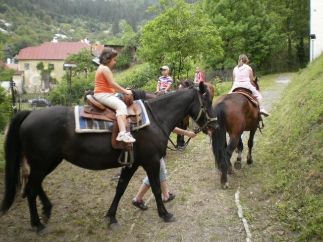 foto8.jpg