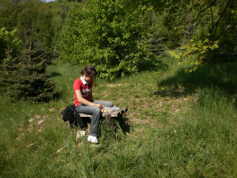 lesnkola20090430_29.jpg