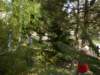lesnkola20090430_50_small.jpg