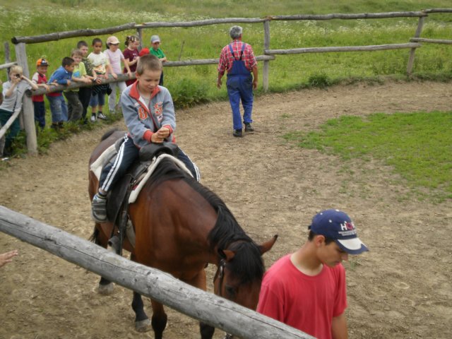 mddkollrov12.jpg