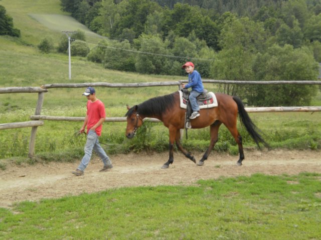 mddkollrov23.jpg