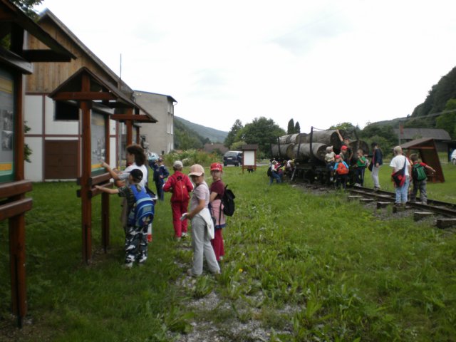 mddkollrov32.jpg
