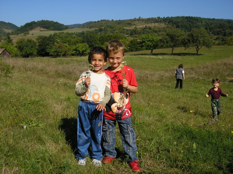 mdrasovika18.jpg