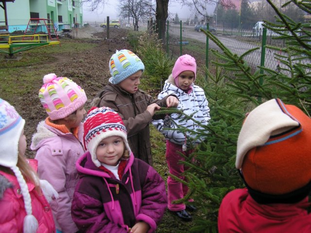 krmtka2.jpg