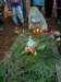 dsc00160_small.jpg