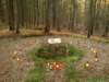 dsc00174_small.jpg