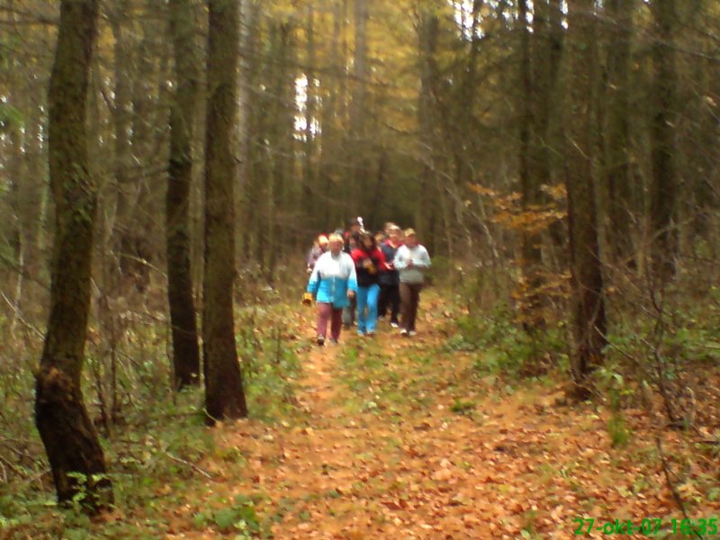 dsc00180.jpg
