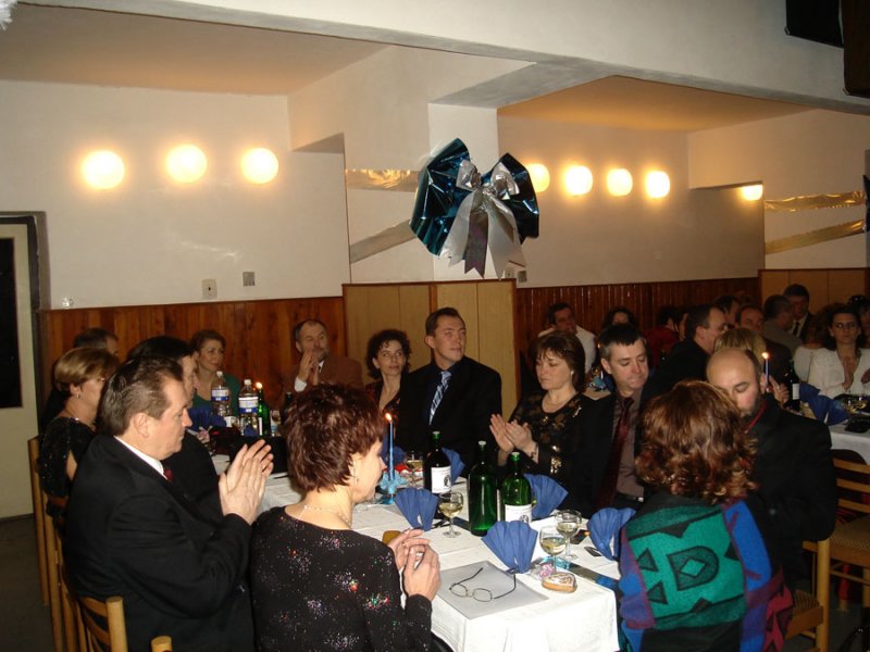 plesrodiov7.jpg