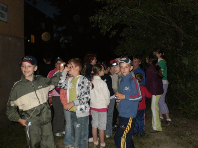 nocvkole11.jpg