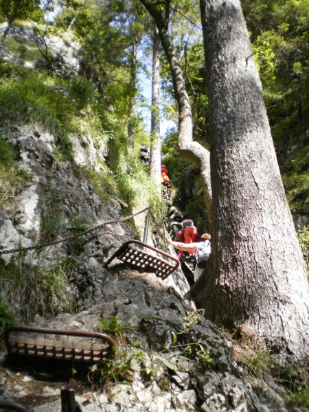 vslovenskomraji05.jpg