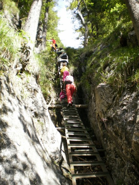 vslovenskomraji06.jpg